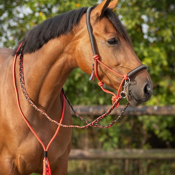 Hovedbilde Taugrime Combi Liberty