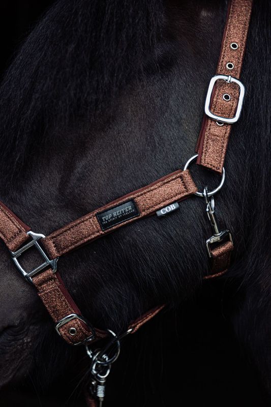 Top Reiter Glitrandi Grimesett - Copper