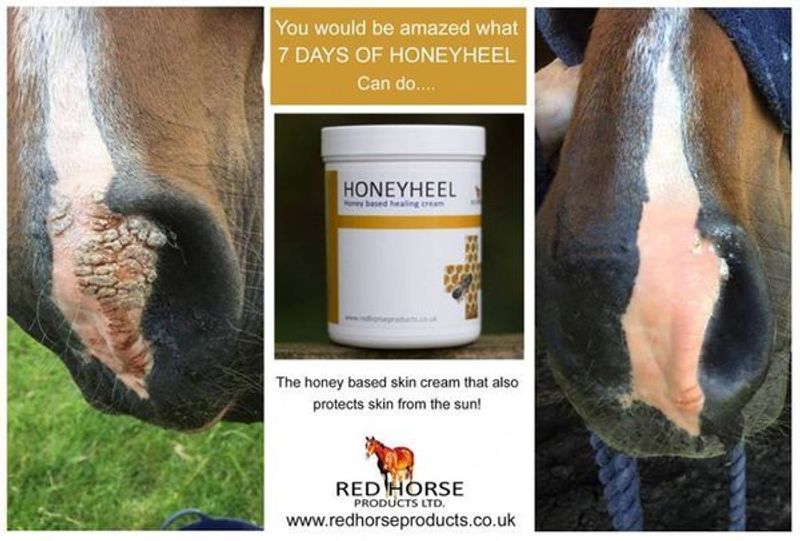 Honey Heel - 500ml