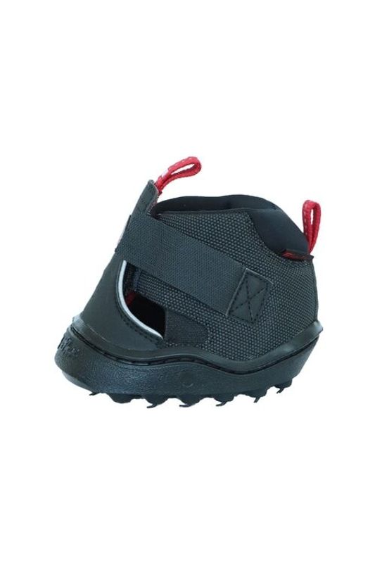 Equine Fusion Trekking Shoe