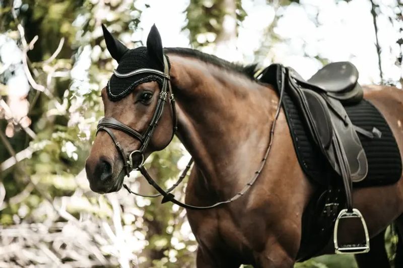 Kentucky Pearls Dressur Schabrak