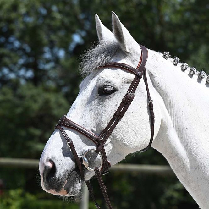 Hovedbilde Antares Signature Hodelag