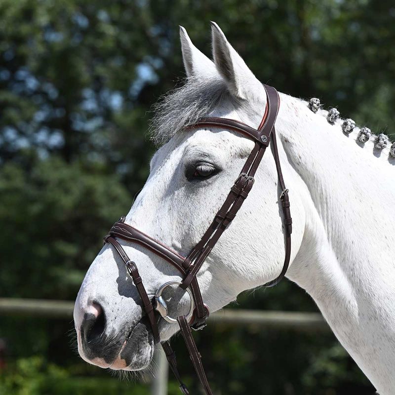 Antares Signature Hodelag