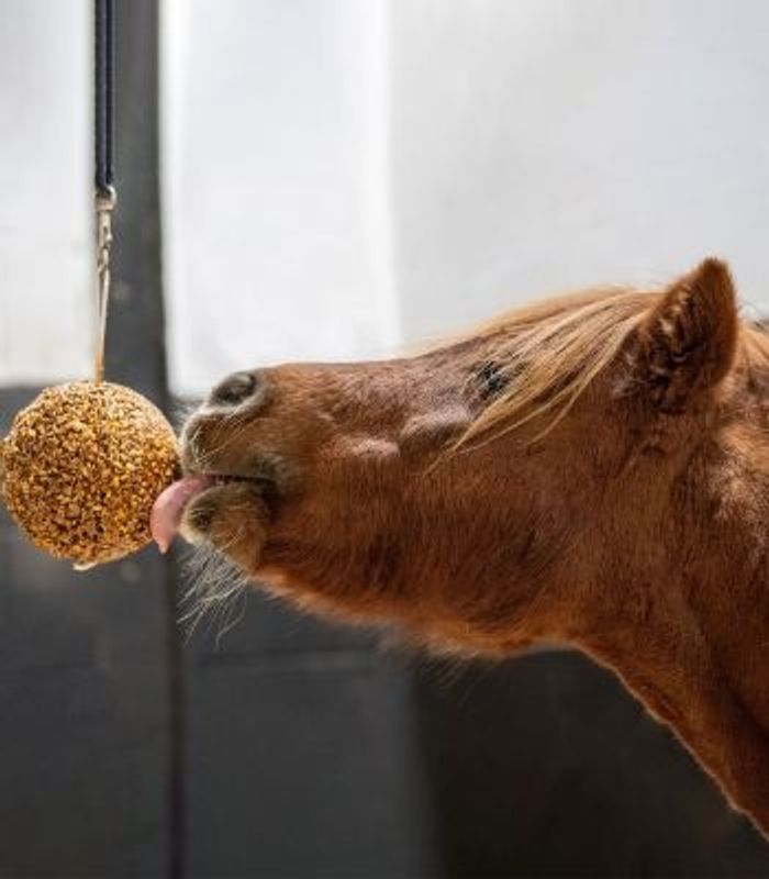 Likit Granola Stall ball