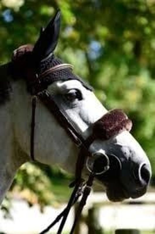 Kentucky lammeskinn beskytter- Flere Farger