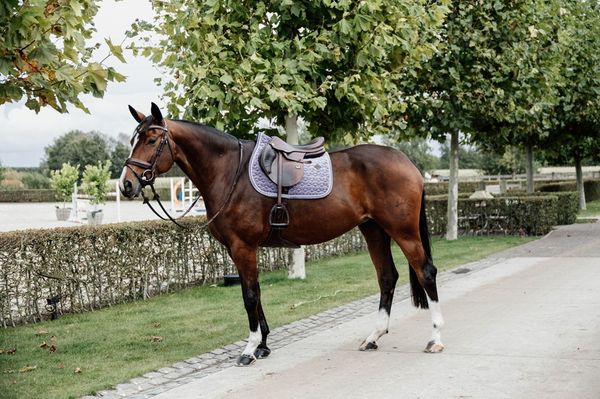 Hovedbilde Kentucky Velvet Sprang Schabrak