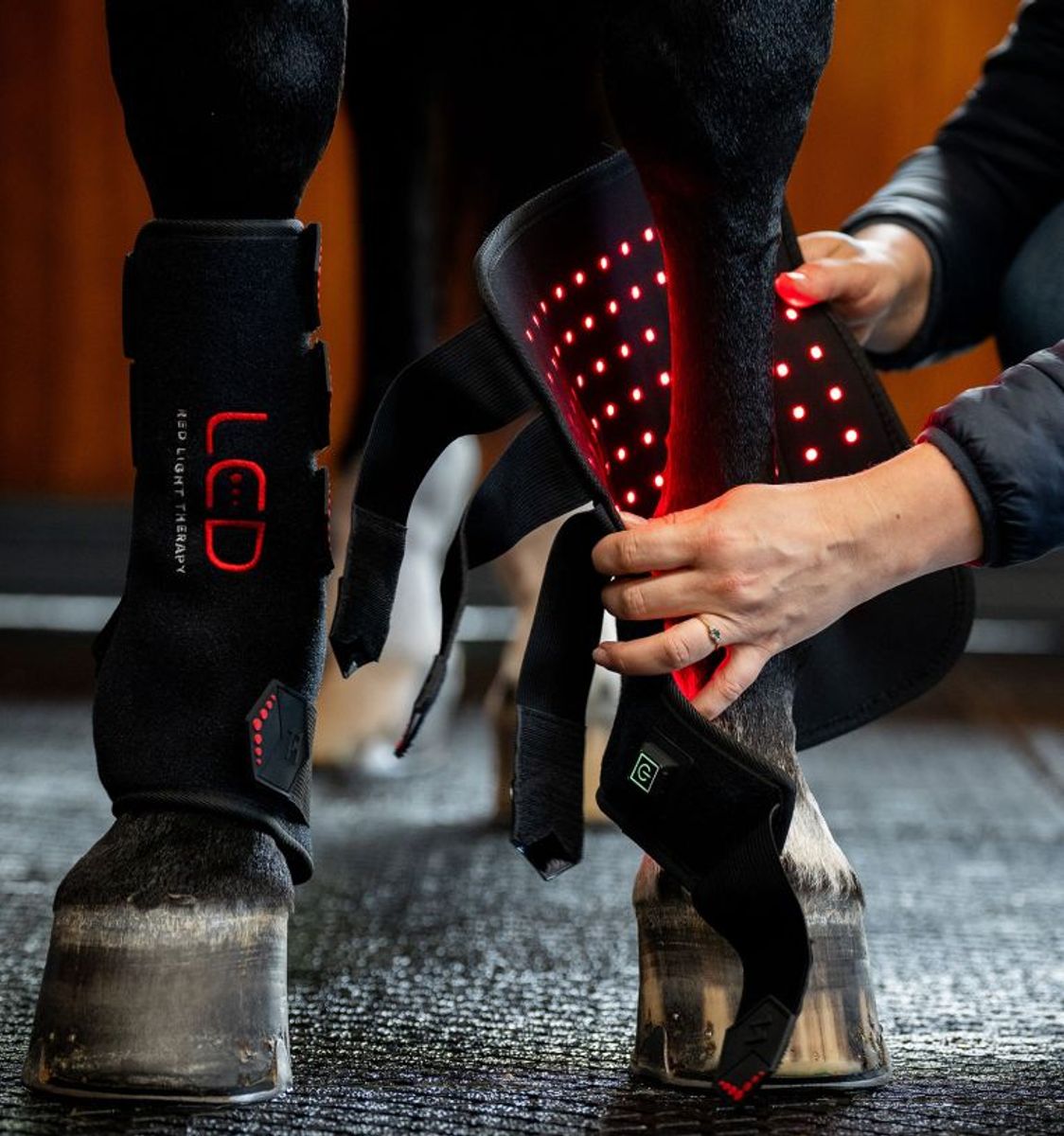 Horseware LED Red Light Therapy Leg Wrap - Høyre