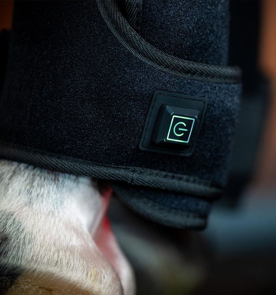 Horseware LED Red Light Therapy Leg Wrap - Høyre