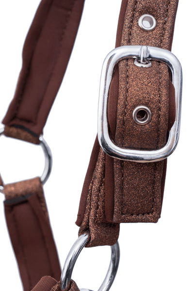 Hovedbilde Top Reiter Glitrandi Grimesett - Copper