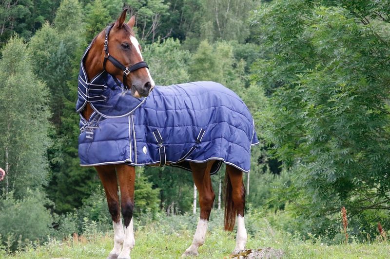 SE Design Combo Stalldekken 200gr