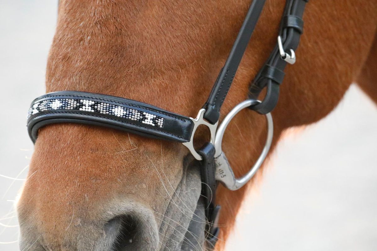 SE Design Loki Hodelag