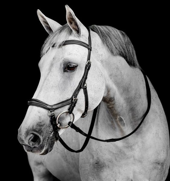 Hovedbilde Micklem Delux Competition Bridle