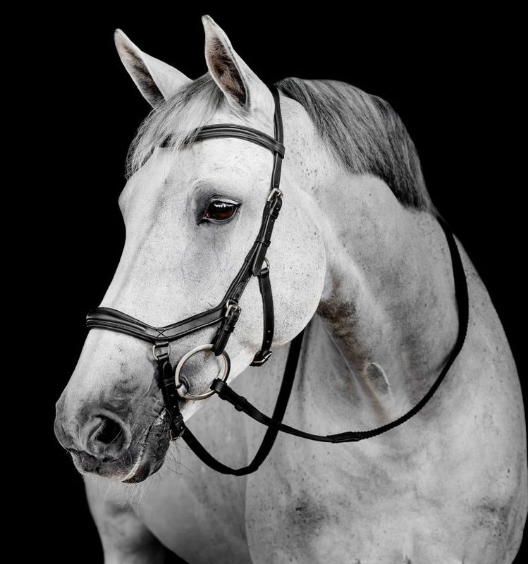 Micklem Delux Competition Bridle
