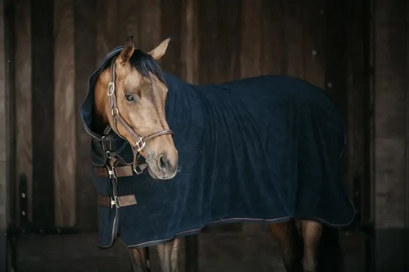 Kentucky Towel Rug
