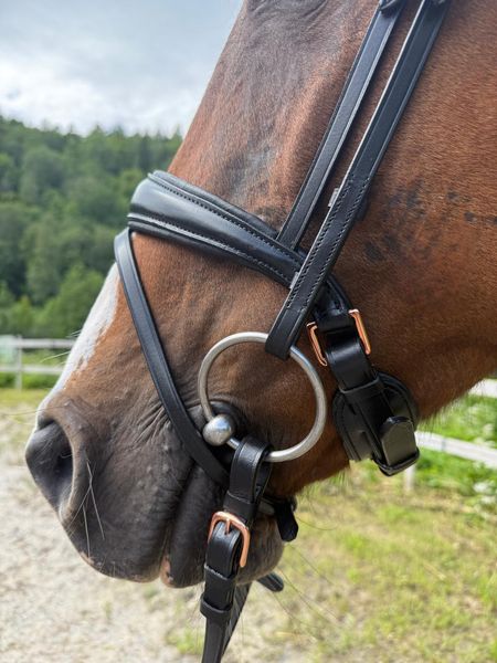 Hovedbilde SE Design Rubin Dressur Hodelag