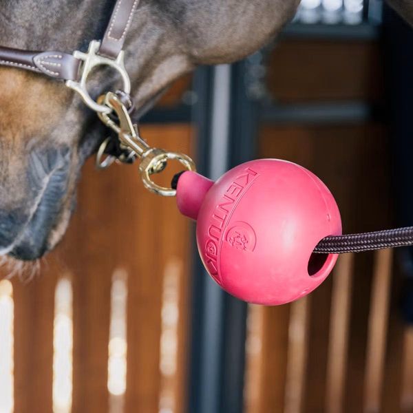 Hovedbilde Kentucky Lead & Wall Protection Rubber Ball