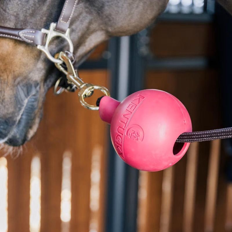 Kentucky Lead & Wall Protection Rubber Ball