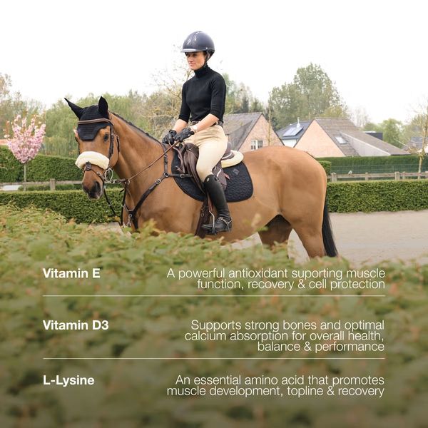Hovedbilde Grooming Deluxe Vitamin Booster Vital