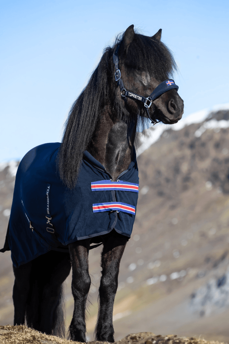 Top Reiter Klaki Anti Sweat Rug - Iceland 