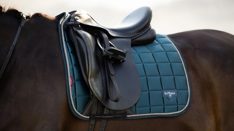 LeMieux Loire Classic Dressur Schabrak - Jungle