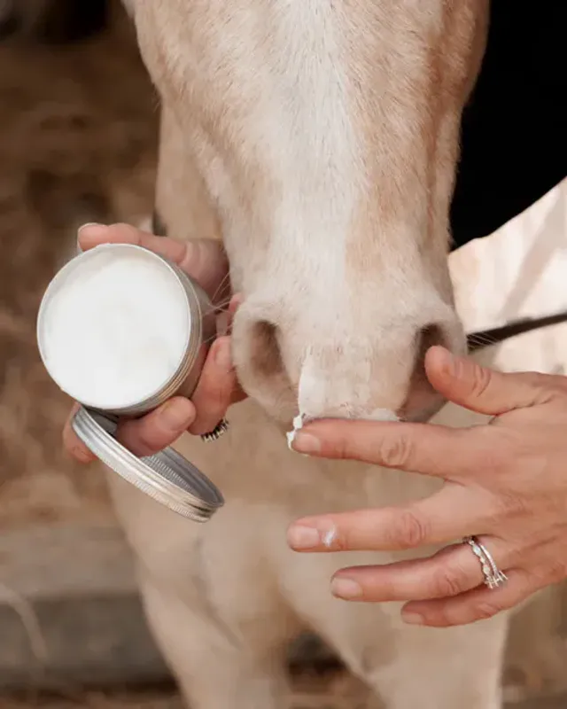 Grooming Deluxe Sun Block