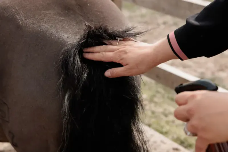 Grooming Deluxe Itch Stop Plus