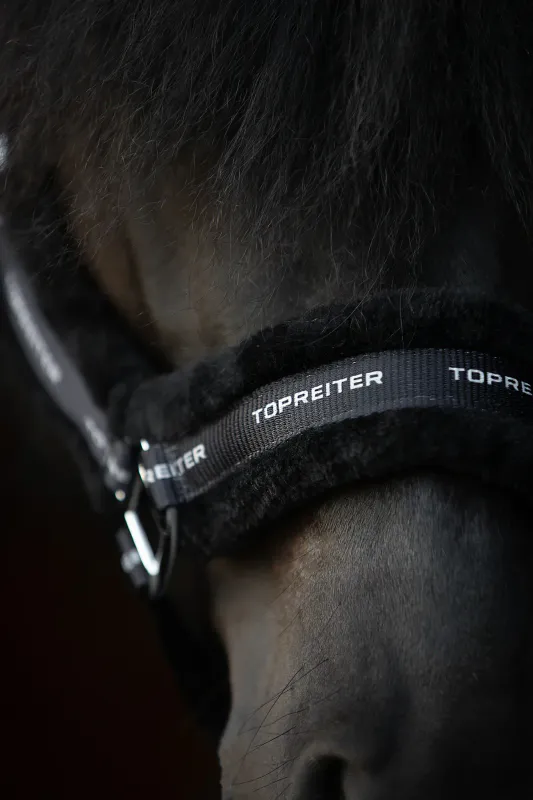 Top Reiter 