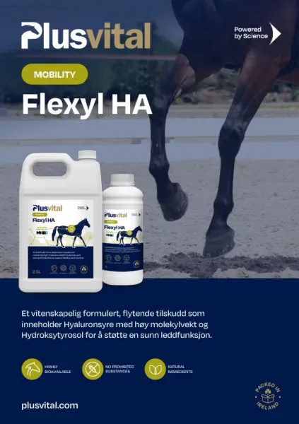 Hovedbilde Plusvital Flexyl HA