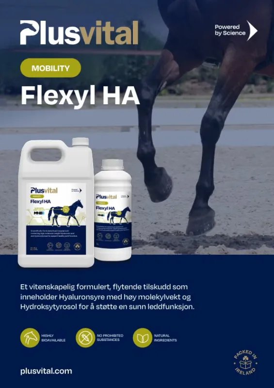 Plusvital Flexyl HA