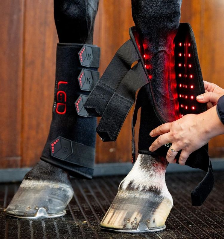Horseware LED Red Light Therapy Leg Wrap - Høyre