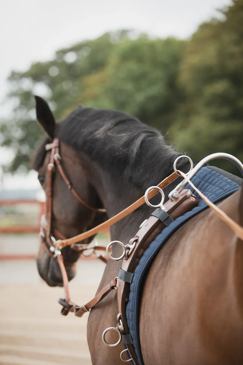 Lippo Longeringsunderlag