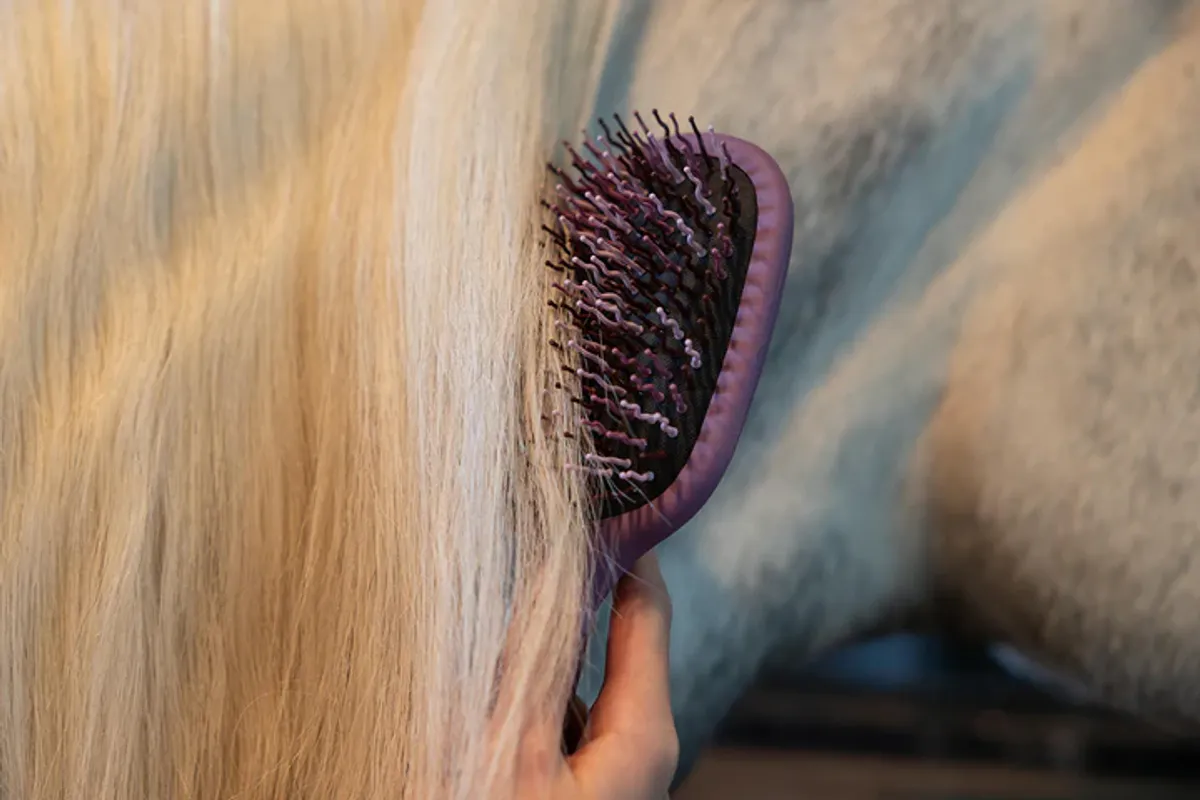 LeMieux Tangle Tidy 