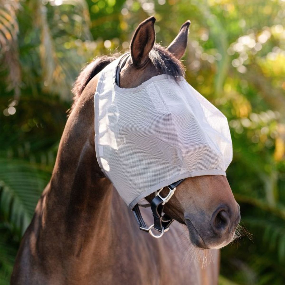 Amigo Fluemaske uten ører
