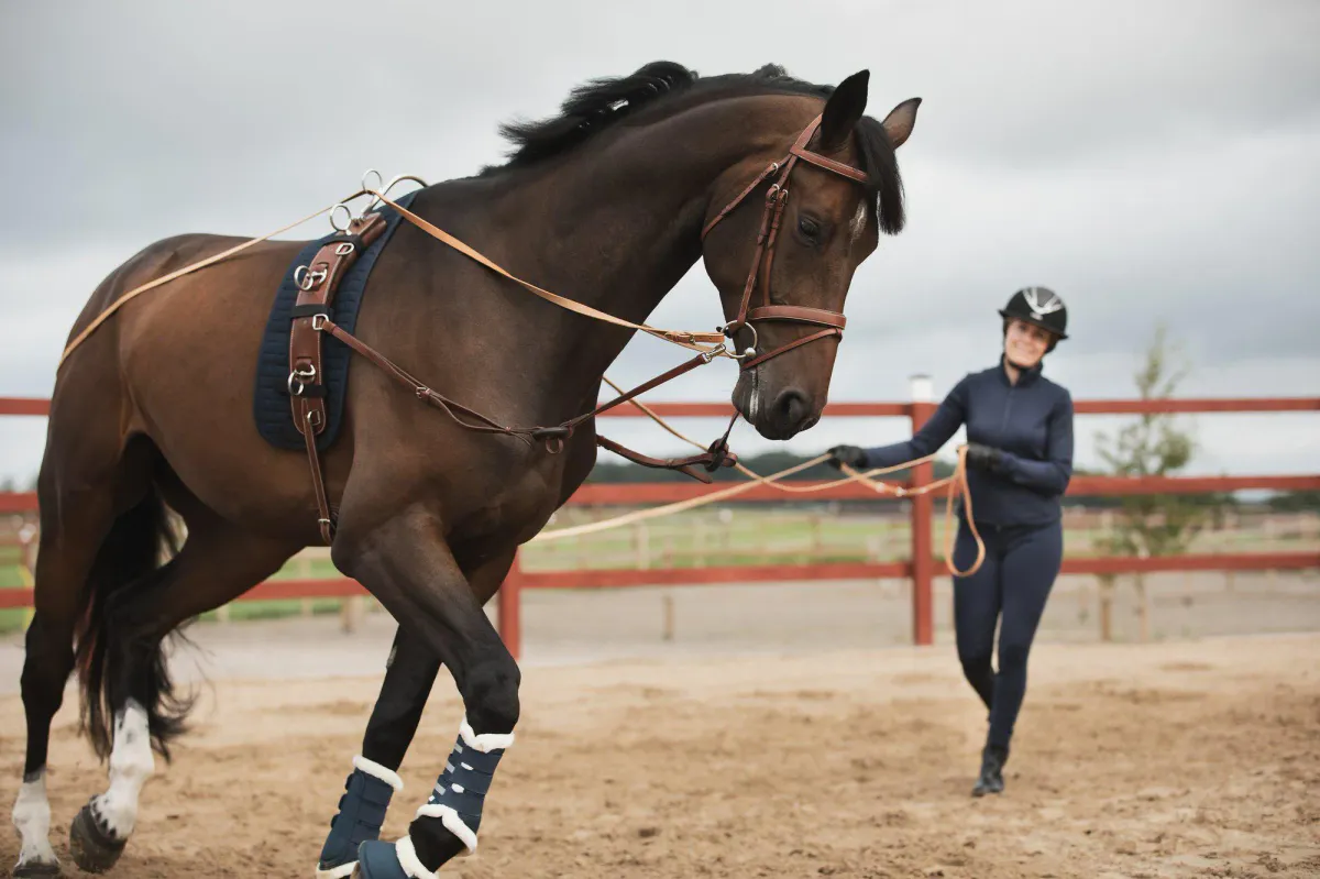 Lippo Longeringsunderlag