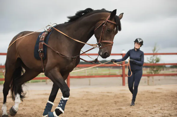 Hovedbilde Lippo Longeringsunderlag