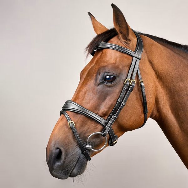 Hovedbilde Dyon Collection Anatomisk hodelag med mønstersøm