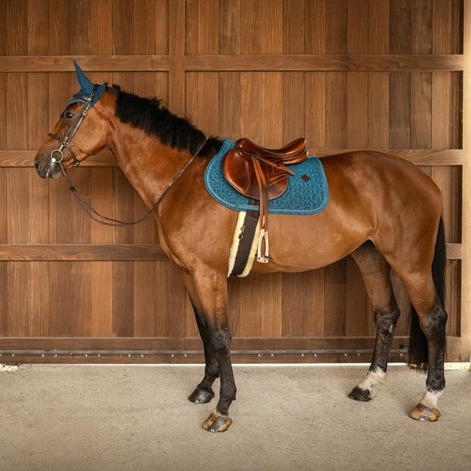 Hovedbilde Kentucky Full Sparkling Sprang Schabrak