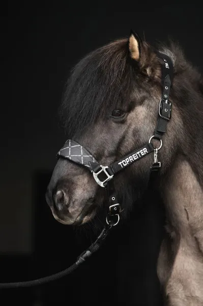 Hovedbilde Top Reiter Klaki Grimesett til Islandshest -  ...