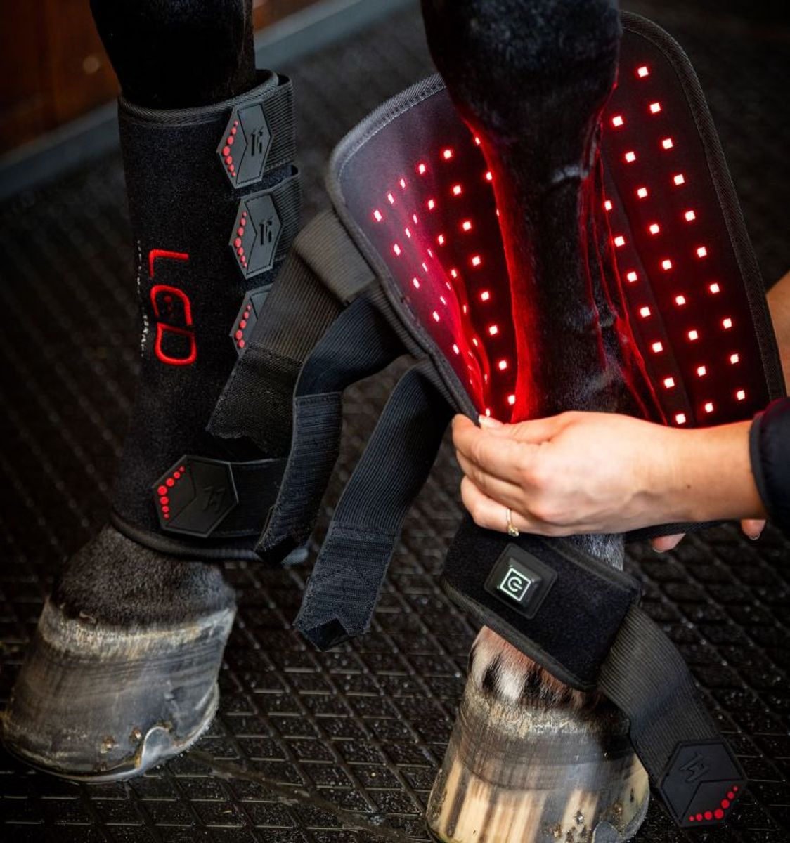 Horseware LED Red Light Therapy Leg Wrap - Høyre