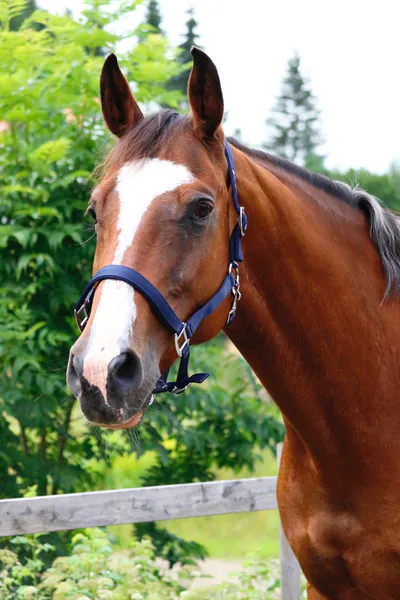 Hovedbilde SE Design Nylongrime