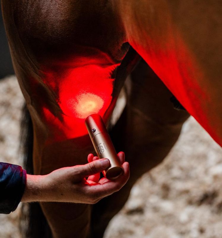 Horseware LED Red Light Therapy Wand