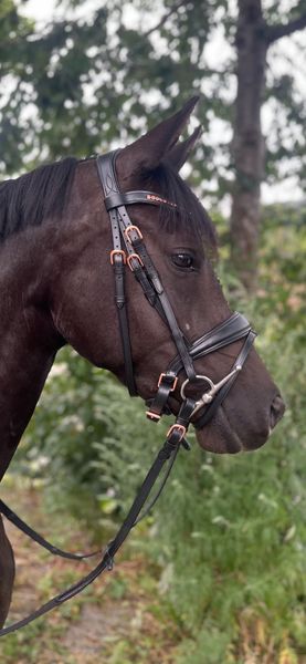 Hovedbilde SE Design Rubin Dressur Hodelag