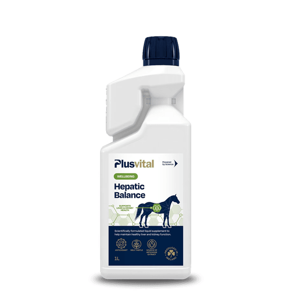 Hovedbilde Plusvital Hepatic Balance 1 Liter