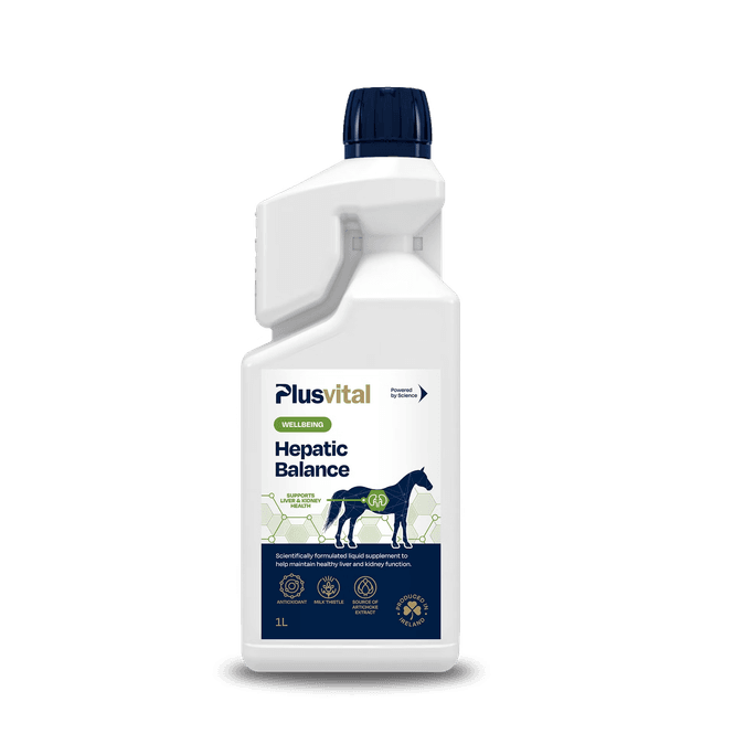 Hovedbilde Plusvital Hepatic Balance 1 Liter