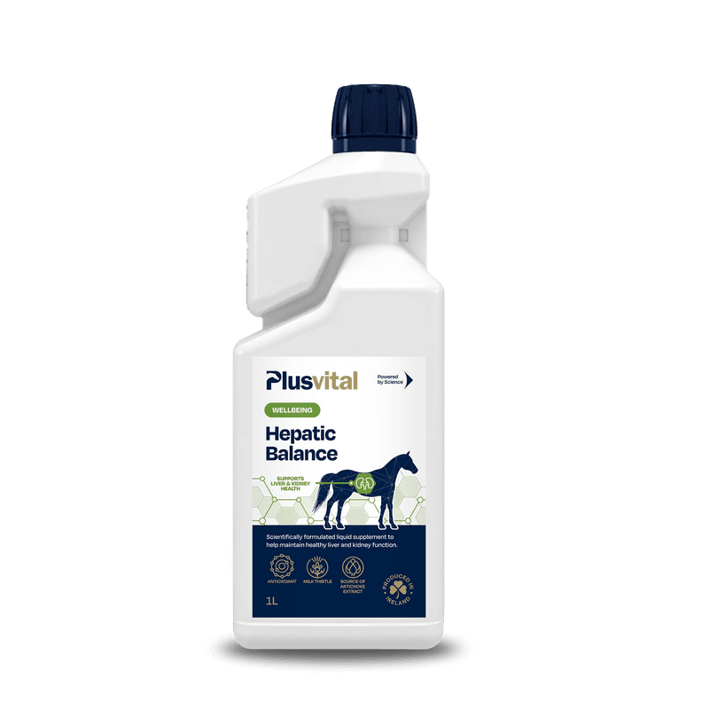 Plusvital Hepatic Balance 1 Liter