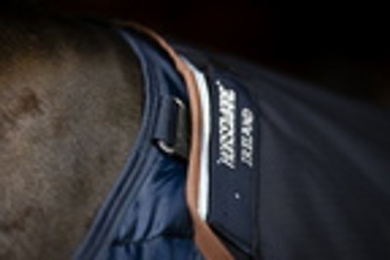 Horseware Liner 50g