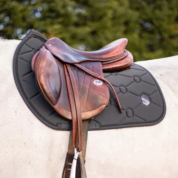 Hovedbilde Samshield Spineshield Sprang Schabrack - ...