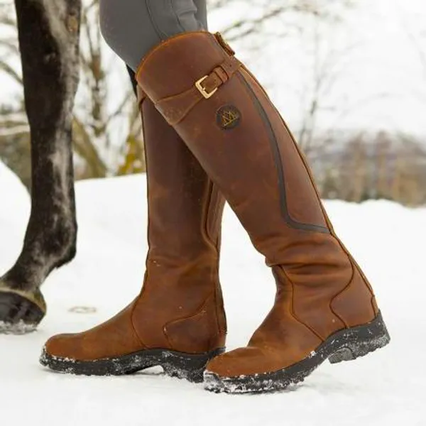 Hovedbilde Mountain Horse Snowy River Vinter