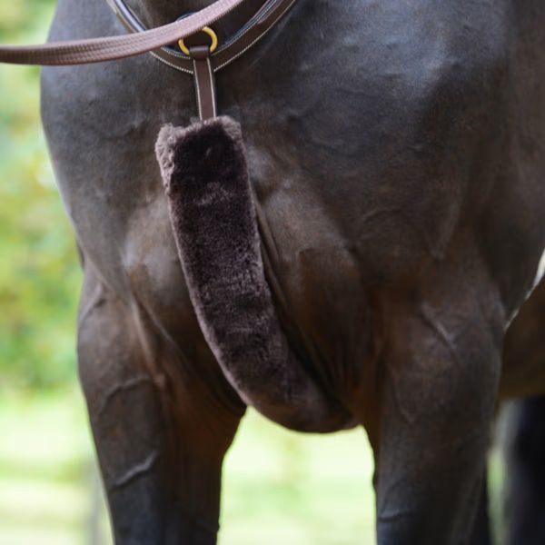 Hovedbilde Kentucky Lammeskinn beskytter til Martingal og ...