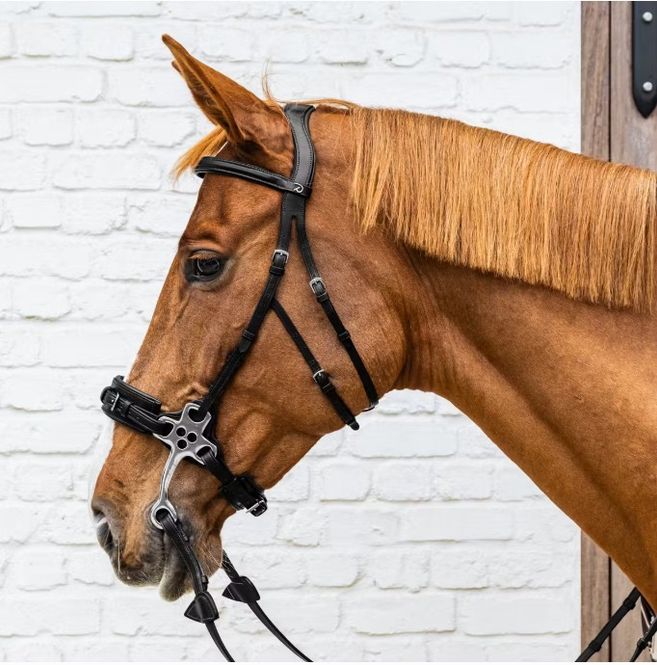 Hovedbilde Dyon Hackamore Hodelag - New English 